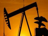С ценой на нефть происходит невообразимое