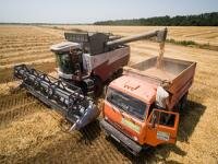 Новотранс отберет русское зерно у прибалтов